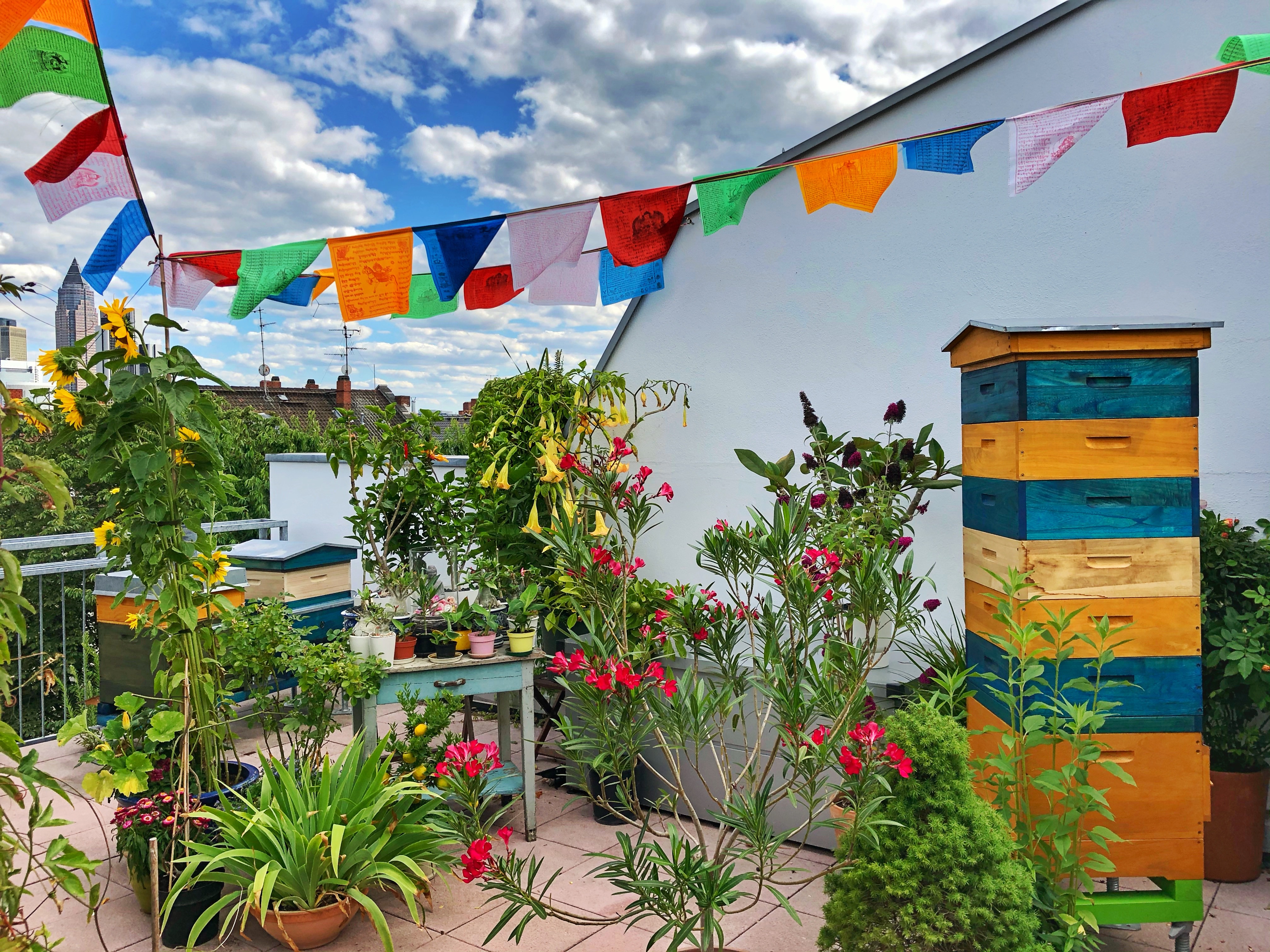 Bienenvölker auf der Frankfurter Dachterrasse zwischen sommerlichen Blumen. 