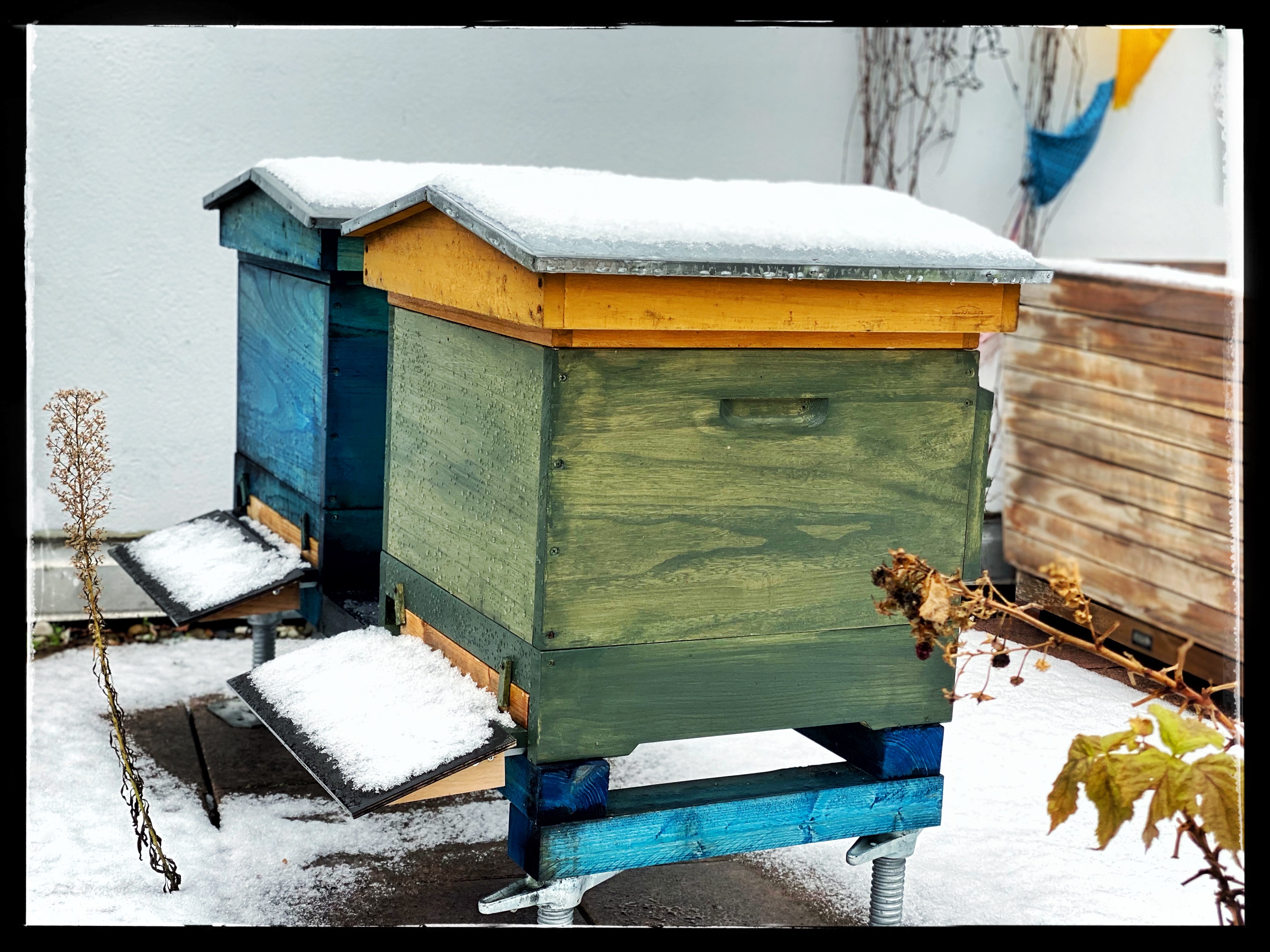 Blick auf überwinternde Bienenvölker im Schnee. 