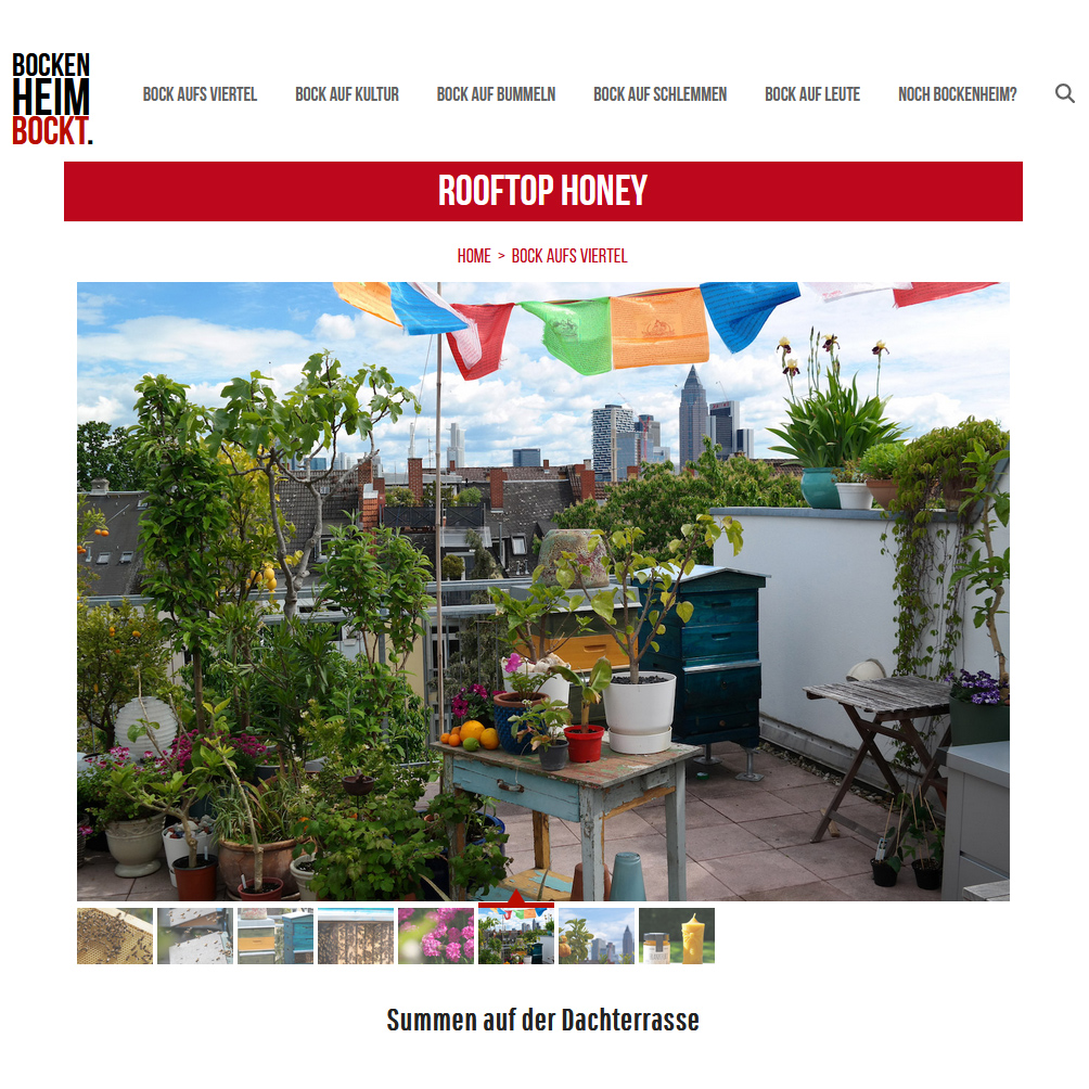 Screenshot des Artikels über uns auf bockenheimbockt.de